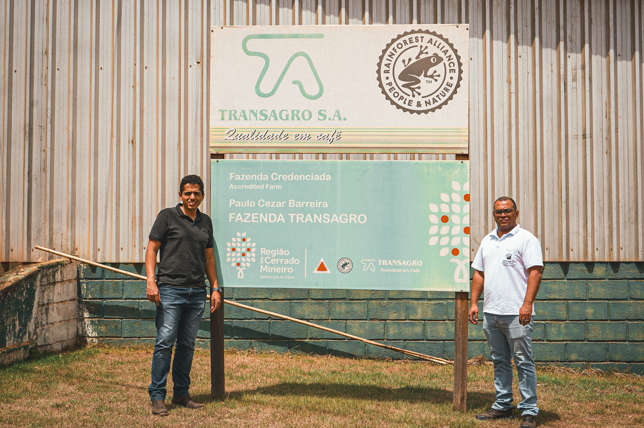 Mãos segurando grãos de café